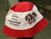 Swiss soft hat