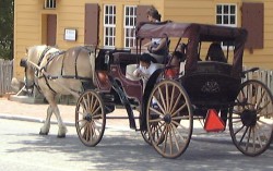 Buggy rides